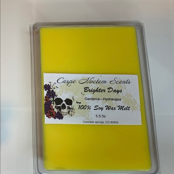 Handmade 100% soy way wax melts (large) $10 each